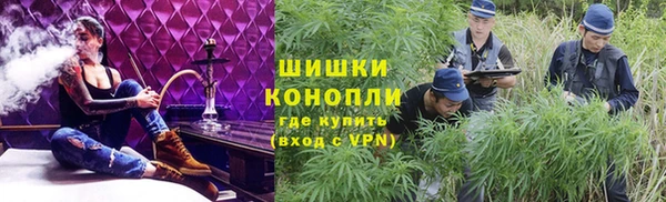 гашик Семилуки