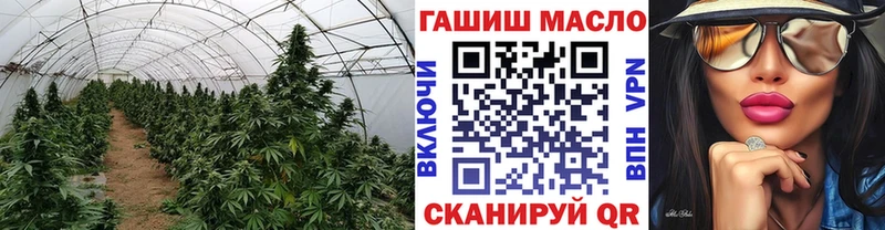 закладка  Тбилисская  Дистиллят ТГК THC oil 