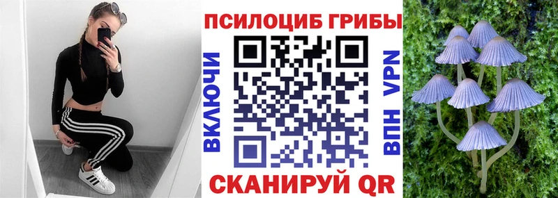 Галлюциногенные грибы Magic Shrooms  наркошоп  Тбилисская 